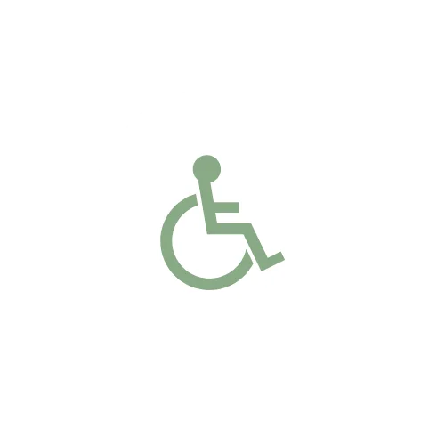 handicap handicap